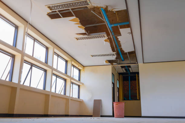 Best Flood restoration services  in Lima, OH