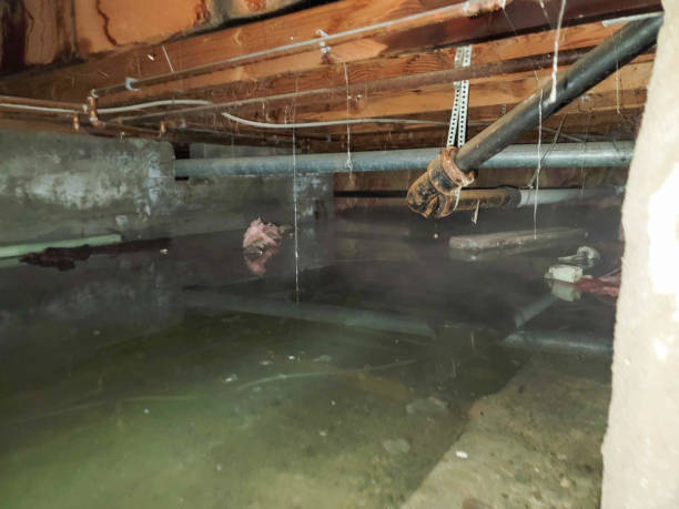 Best Water damage restoration near me  in Lima, OH