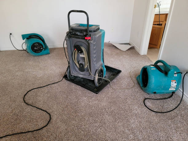 Best Flood damage cleanup  in Lima, OH