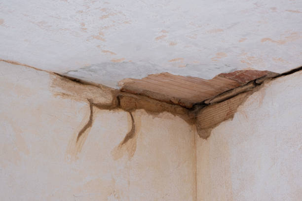 Best Ceiling water damage repair  in Lima, OH
