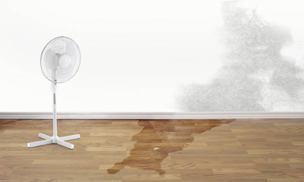 Best Commercial water damage restoration  in Lima, OH
