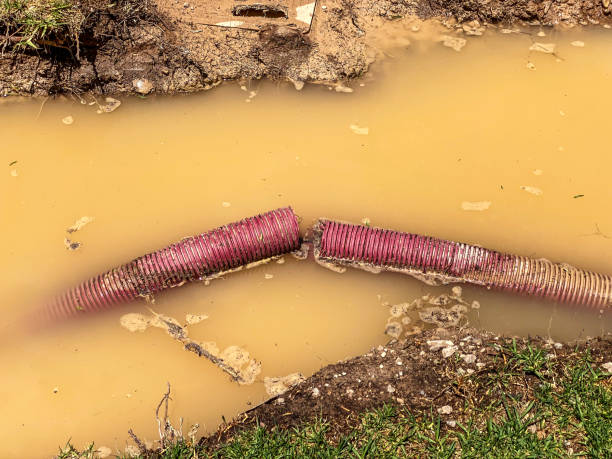 Best Water damage restoration near me  in Lima, OH