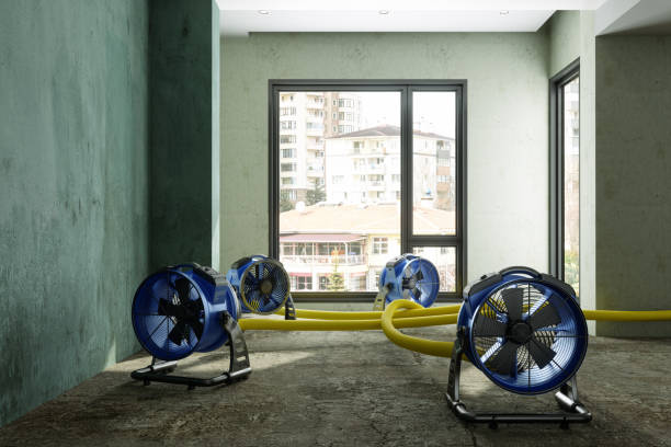 Best 24/7 water damage repair  in Lima, OH